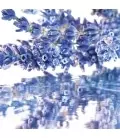 3346471000024_3.jpg