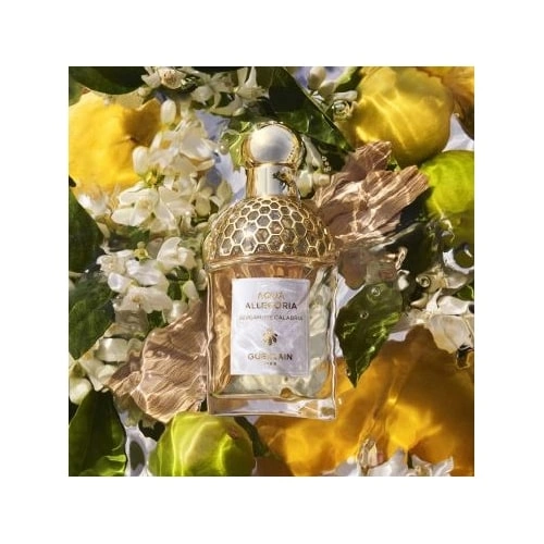 AQUA ALLEGORIA Bergamote Calabria - Eau de toilette Capturyyye.JPG