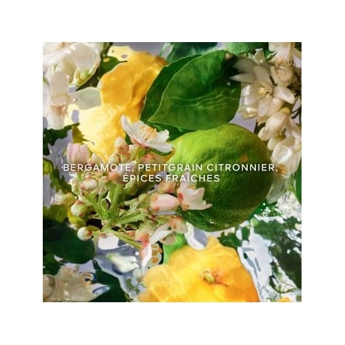 AQUA ALLEGORIA Bergamote Calabria - Eau de toilette Captuyyyre.JPG