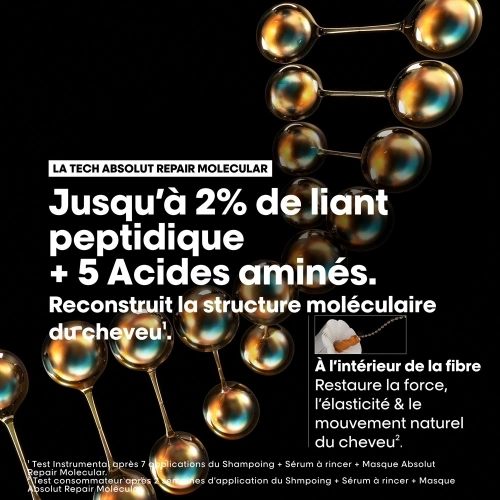 ABSOLUT REPAIR MOLECULAR Masque 