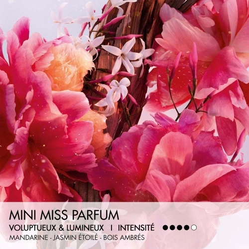 MISS DIOR Parfum Solide en stick sans alcool 3348901726641_2.jpg