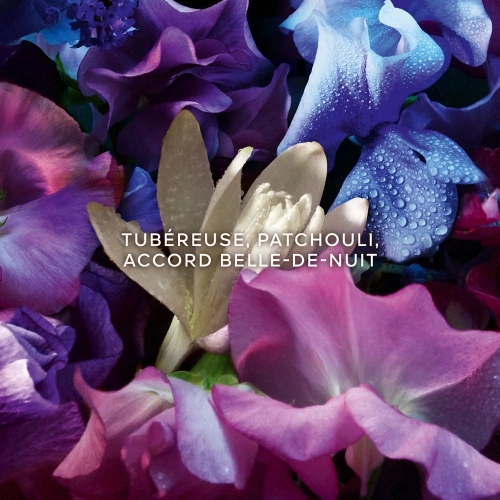 LES ABSOLUS ALLEGORIA Florabloom Eau de Parfum 3346472000108_2.jpg