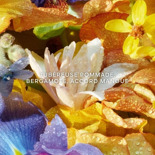 AQUA ALLEGORIA FLORABLOOM Crème Mains 3346470622241_3.jpg