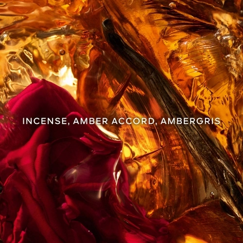 ABSOLUS ALLEGORIA Ambre Samar Eau de Parfum 3346470621794_3.jpg