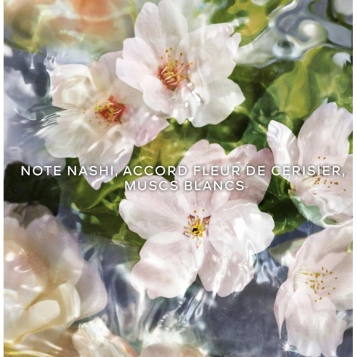 AQUA ALLEGORIA Flora Cherrysia - Eau de Toilette Spray Capture75858.JPG