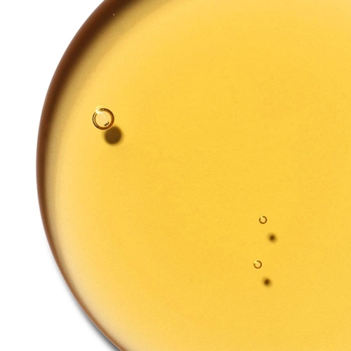 NOURISHING LIP OIL A high concentration of honey for nourished and beautified lips 3390150595721_V2.jpg