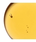 3390150595721_V2.jpg