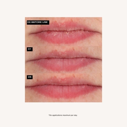 NOURISHING LIP OIL A high concentration of honey for nourished and beautified lips 3390150595721_V6.jpg