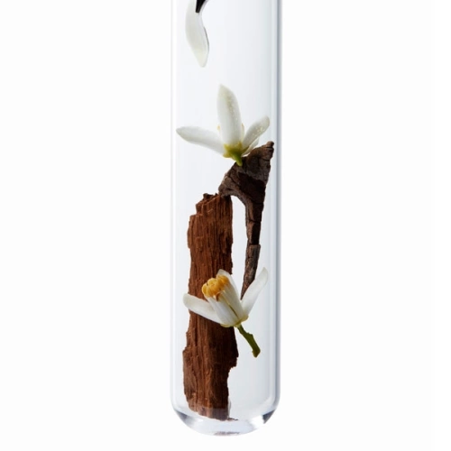 CHROMA ABSOLUE SÉRUM CHROMA THERMIQUE Anti-frizz thermal serum for all sensitized or damaged colored hair 
