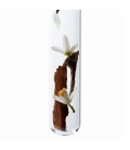 CHROMA ABSOLUE SÉRUM CHROMA THERMIQUE Anti-frizz thermal serum for all sensitized or damaged colored hair