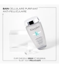 BAIN PURETÉ ANTI-PELLICULAIRE Purifying anti-dandruff cellular shampoo for sensitive and fatty scalps with a tendency to dandruff