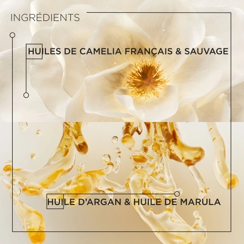 ELIXIR ULTIME Nourishing oil for dry hair 