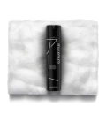 STYLE RESTAGE LAQUE DE FINITION 300 ML LAQUE DE FINITION