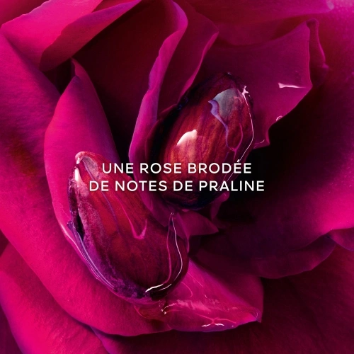 LA PETITE ROBE NOIRE - LE PARFUM Parfum 3346470622319_2.jpg