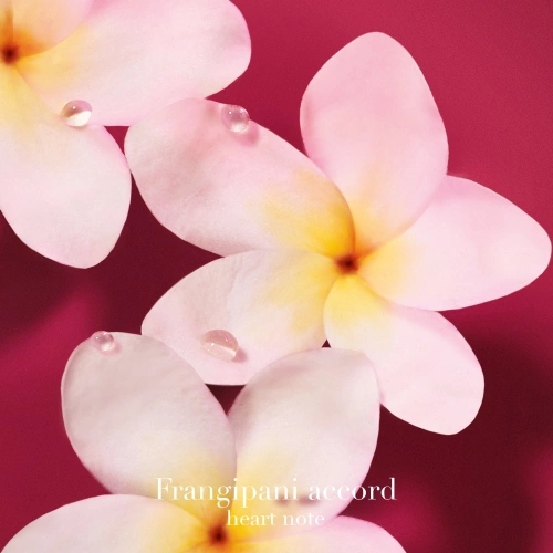 Power of You Eau de Parfum florale ambrée fruitée pour femme 3614274752038_5.jpg