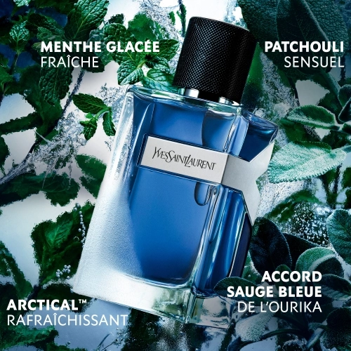Y ICED COLOGNE Intense Eau de Toilette 3614274492347_3.jpg