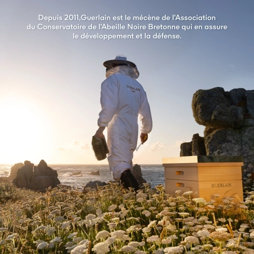 ABEILLE ROYALE Soin Yeux Réparateur Jeunesse 3346472000054_9.jpg