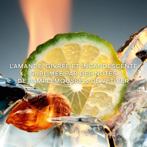 L'HOMME IDÉAL COLOGNE FORTE Eau de Parfum 3346470624139_2.jpg