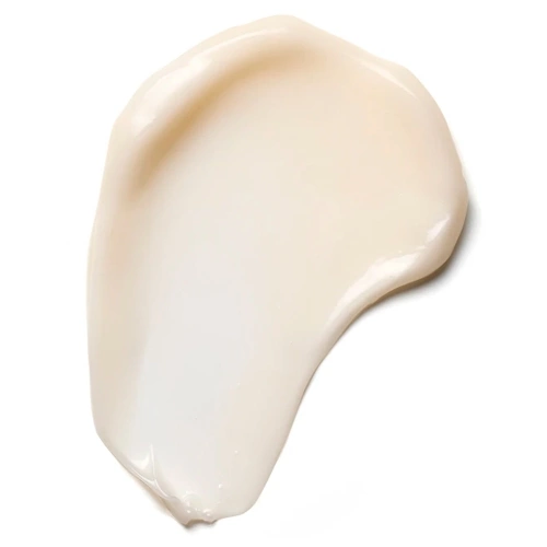 FRIZZ CONTROL Disciplining Styling Cream 7290014827998_1.jpg