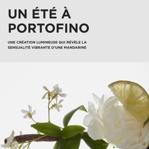 PREMIÈRE Coffret trio traitement pré-shampoing, shampoing et soin pour cheveux abîmés 3474637353773_5.jpg