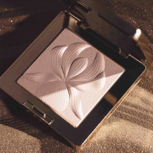 L'ORCHIDÉE HIGHLIGHTER Poudre-gel illuminatrice 3473311815088_2.jpg