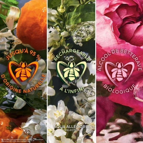 AQUA ALLEGORIA Coffret Mandarine Basilic Forte Eau de Parfum 3346471000772_4.jpg