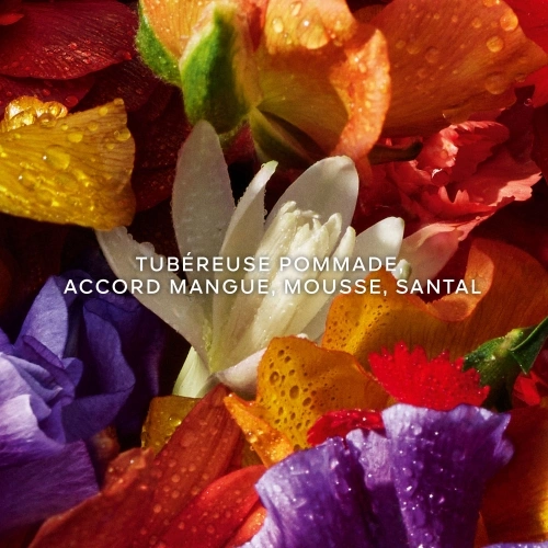 AQUA ALLEGORIA Coffret Florabloom Forte Eau de Parfum 3346471000789_3.jpg
