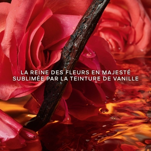 SHALIMAR MILLESIME ROSE Eau de Parfum Vaporisateur 3346470624627_1.jpg
