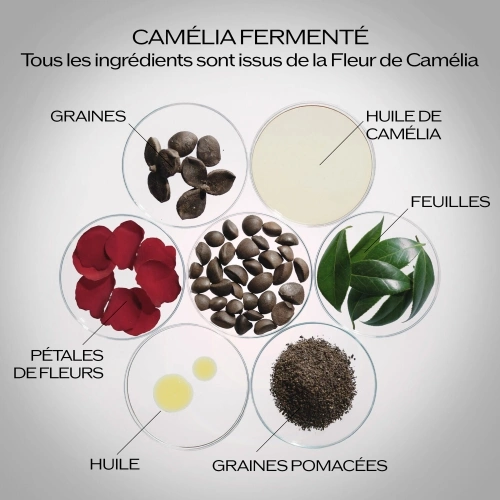 ULTIMUNE Sérum Activateur Energisant 30ml7.jpg