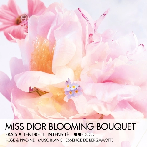 MISS DIOR BLOOMING BOUQUET ROLLER-PEARL A fresh, floral eau de toilette 3348901811934_2.jpg