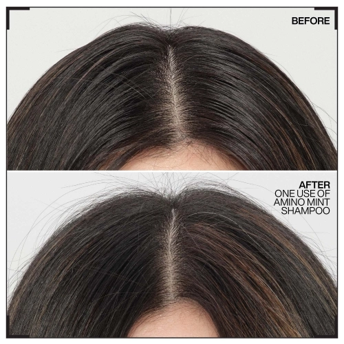 AMINO MINT Purifying Shampoo for Oily Scalp 3474637068370_3.jpg