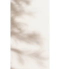 4067971179759_5.jpg