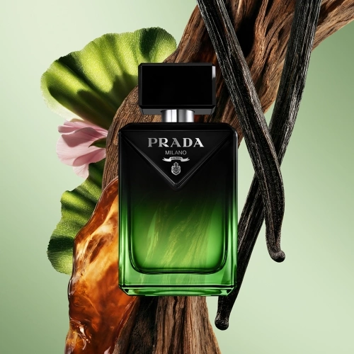 PARADIGME LE PARFUM A long-lasting woody amber fragrance for men 3614274485004_2.jpg
