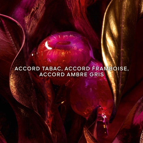 LES ABSOLUS ALLEGORIA Tabac Sahara Eau de Parfum 3346470623866_2.jpg