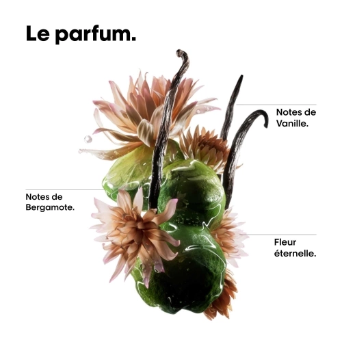 ABSOLUT REPAIR MOLECULAR Huile Bi-Phase Réparatrice 3474637292423_autre6.jpg