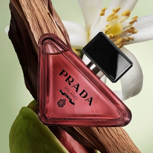 PARADOXE RADICAL ESSENCE Refillable perfume 3614274305340_2.jpg