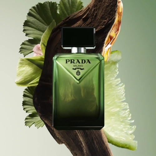 PARADIGME Eau de Parfum boisée ambrée Rechargeable 3614274172997_2.jpg