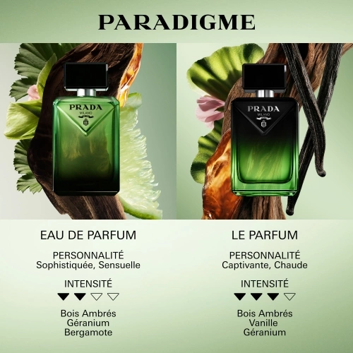 PARADIGME Eau de Parfum boisée ambrée Rechargeable 3614274172997_4.jpg
