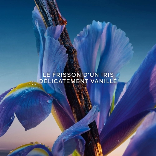 L'HEURE BLEUE Savon solide parfumé 3346470624559_2.jpg