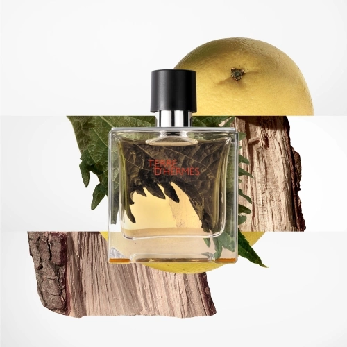 TERRE D'HERMÈS Parfum Vaporisateur et sa Recharge 3346130009849_3.jpg