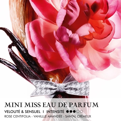 MISS DIOR Eau de Parfum Solide in stick without alcohol 3348901683609_1.jpg