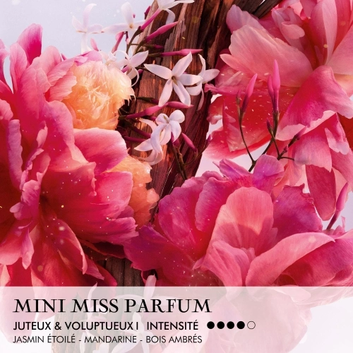 MISS DIOR Parfum Solide alcohol-free stick 3348901726641_1.jpg