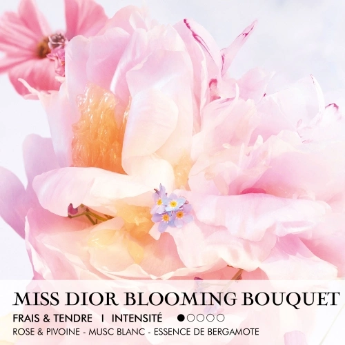 MISS DIOR BLOOMING BOUQUET ROLLER-PEARL A fresh, floral eau de toilette 3348901811934_2.jpg