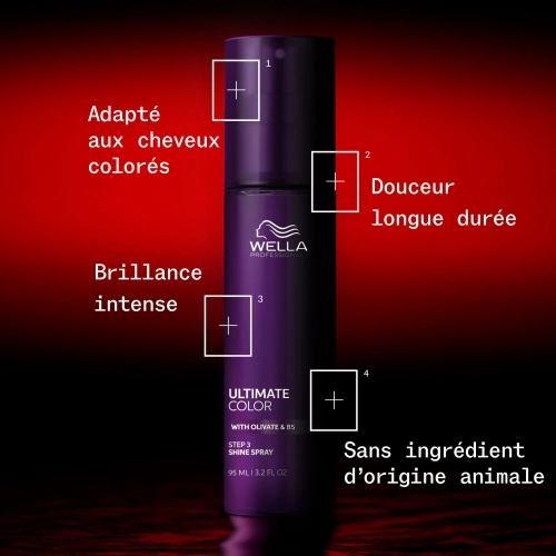 ULTIMATE COLOR Shine Spray – Long-lasting shine and softness – For all types of coloured hair 2.jpg