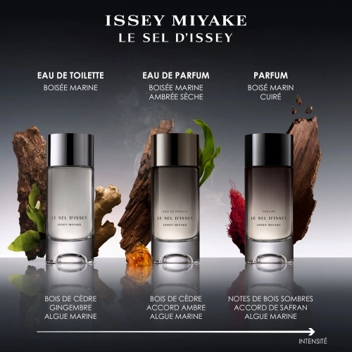 LE SEL D'ISSEY Parfum 3423222134914_5.jpg