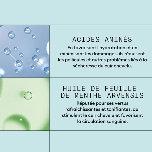 ANTI-PELLICULAIRE Anti-Dandruff Conditioner for a dry scalp 41301_~3.JPG