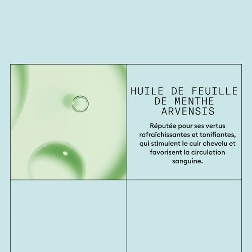 ANTI-PELLICULAIRE Anti-dandruff shampoo for irritated scalps 412.01_3.jpg