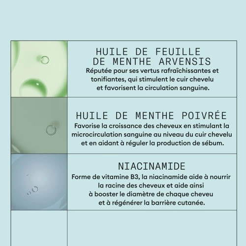 ANTI-PELLICULAIRE Kit Anti-Pelliculaire pour soulager le cuir chevelu irrité 411.71_6.jpg