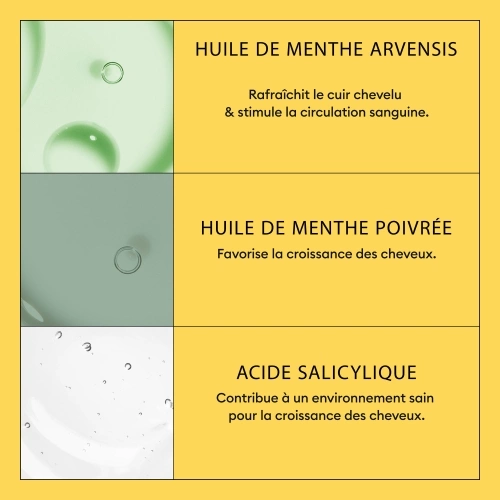 SYSTEM 1 Shampoing - System 1 pour cheveux naturels avec chute modérée 412.11_4.jpg