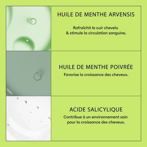 SYSTEM 2 Shampoing - System 2 pour cheveux naturels avec chute avancée 412.21_4.jpg